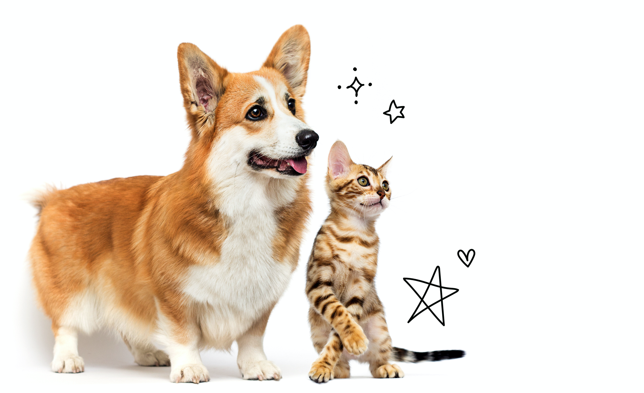 Presenting A Project